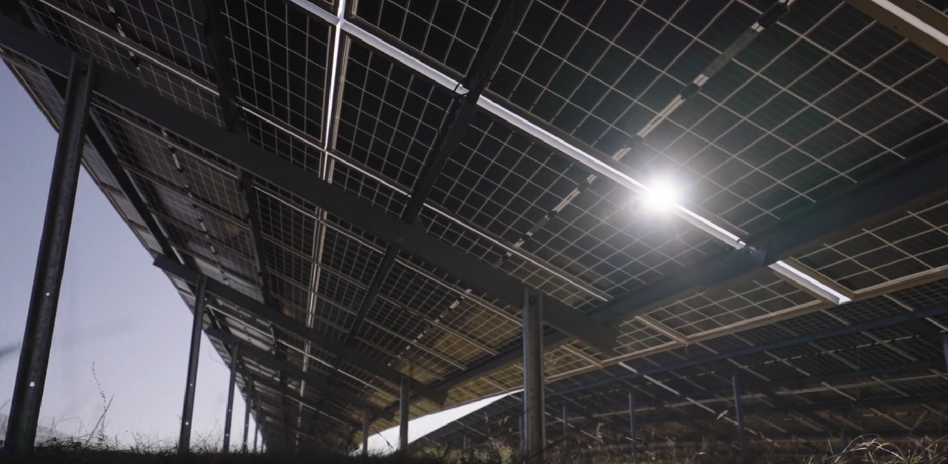 The “Hidden Champion” of Industrial Connectivity: Why You Need to Know About Stäubli Electrical Connectors